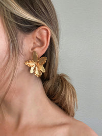 ORQUIDEA STUDS