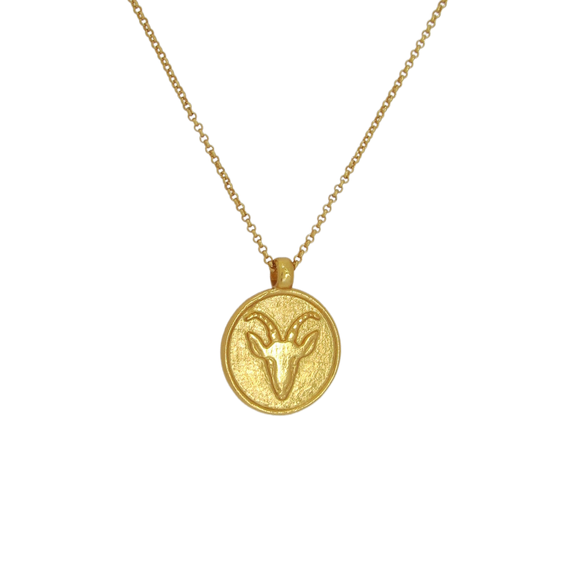 14k Gold Dipped Mother Of Pearl Inlay Zodiac Capricorn Pendant Necklace -  Gold : Target