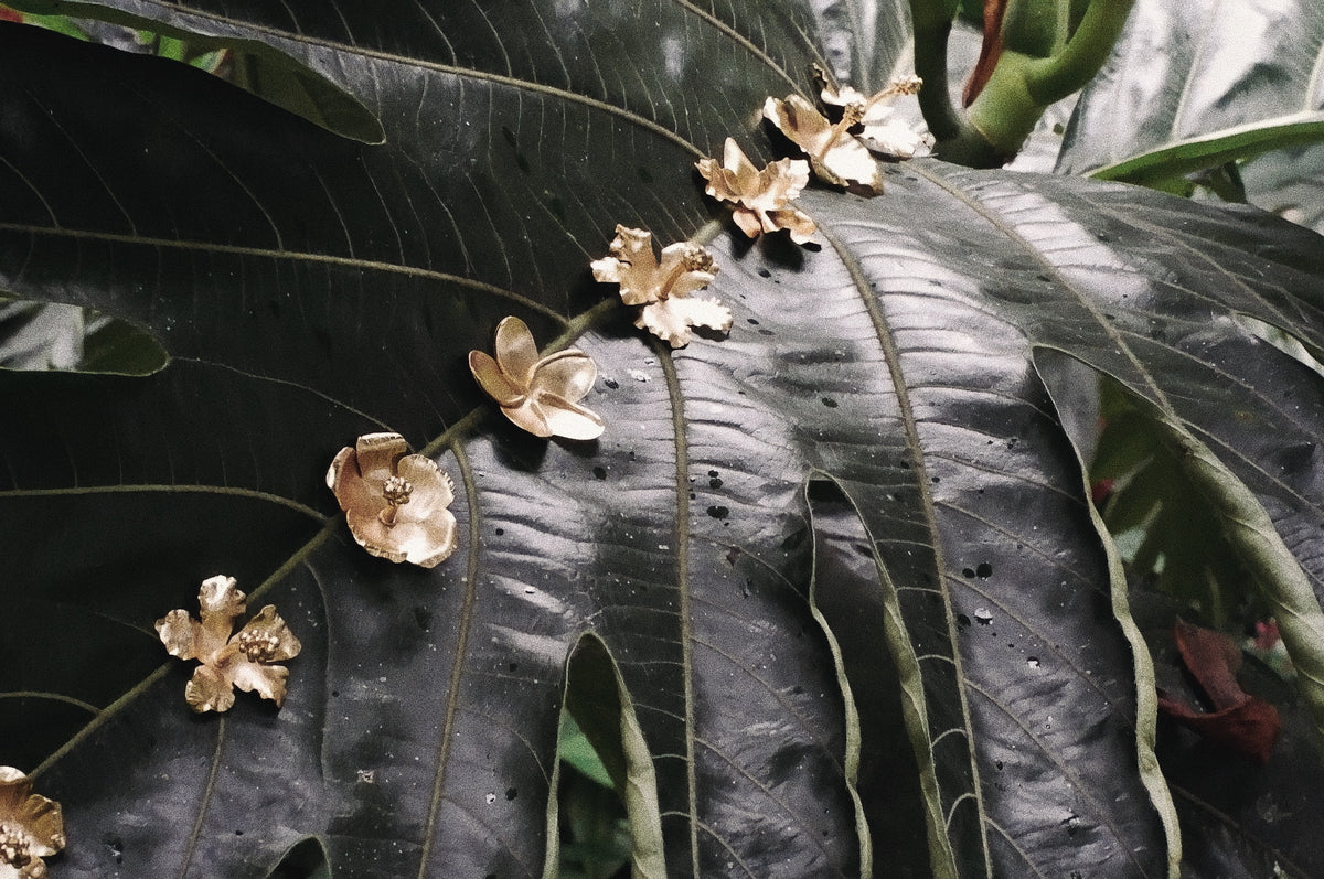 HIBISCUS MEDIUM STUDS